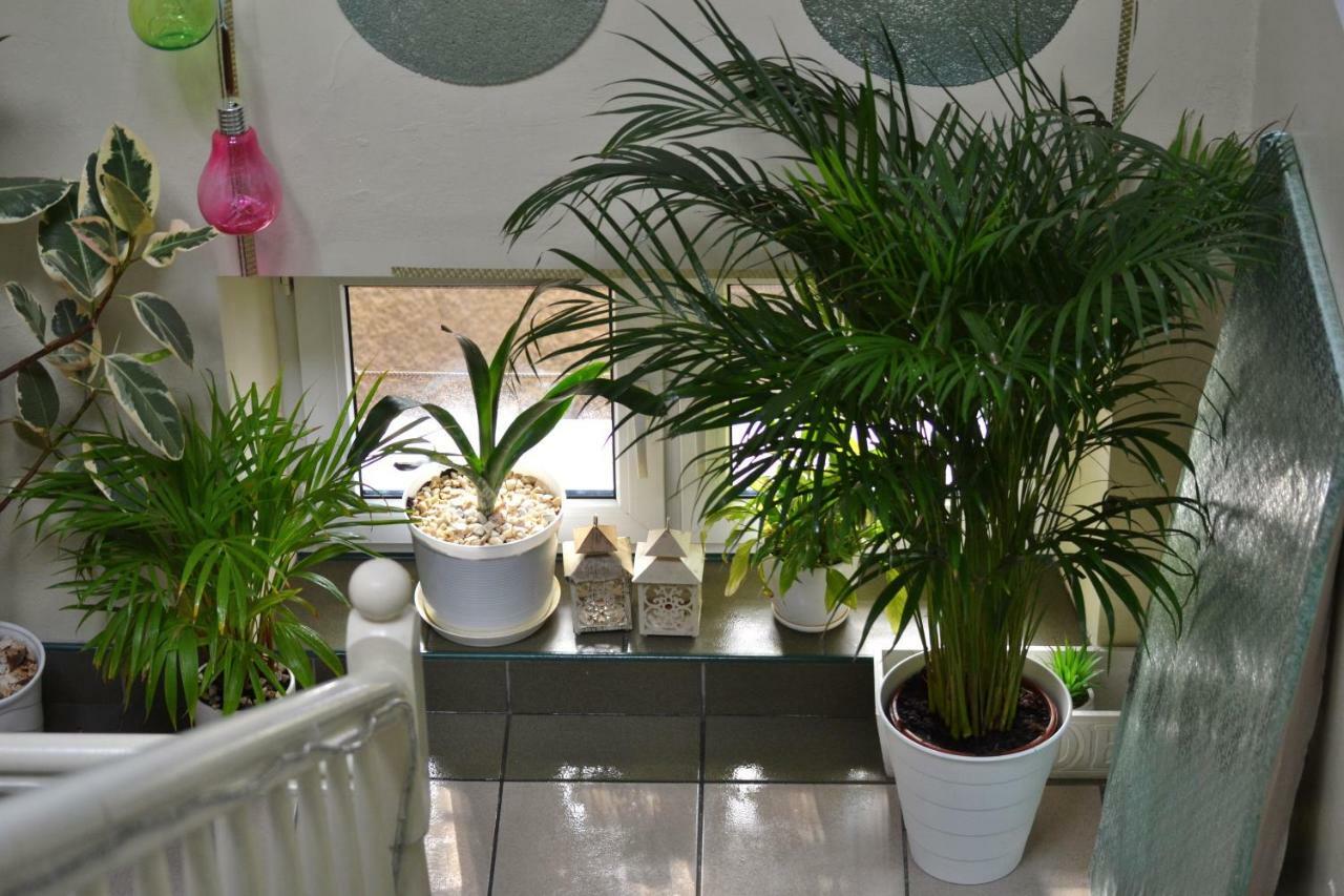 Akwarela I Apartment คราคูฟ ภายนอก รูปภาพ